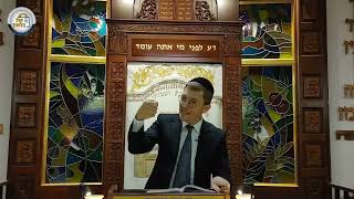 נצבים במלכות ובדין 👑⚖️ - שיעור נפלא לראש השנה ופרשת נצבים | הרב שמואל אברמובסקי (ארגון קול הלשון) - התמונה מוצגת ישירות מתוך אתר האינטרנט יוטיוב. זכויות היוצרים בתמונה שייכות ליוצרה. קישור קרדיט למקור התוכן נמצא בתוך דף הסרטון נצבים במלכות ובדין 👑⚖️ - שיעור נפלא לראש השנה ופרשת נצבים | הרב שמואל אברמובסקי (ארגון קול הלשון) - התמונה מוצגת ישירות מתוך אתר האינטרנט יוטיוב. זכויות היוצרים בתמונה שייכות ליוצרה. קישור קרדיט למקור התוכן נמצא בתוך דף הסרטון