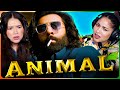ANIMAL Teaser Reaction w/Achara & Steph! | Ranbir K. | Rashmika M, Anil K, Bobby D