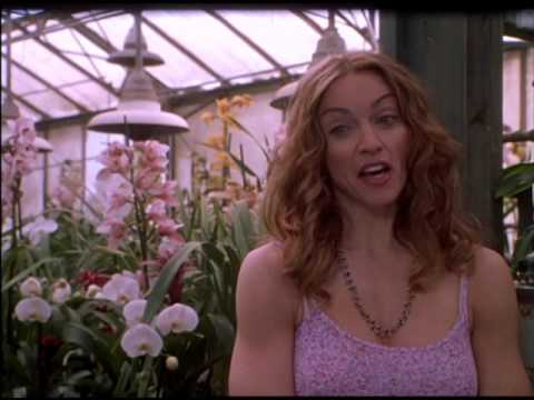 Next Best Thing Trailer