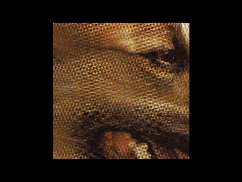 PREMIERE: Panthera Krause - Twerk It [Riotvan]