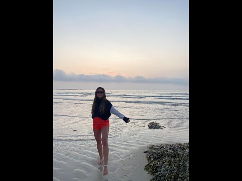 Living CV- St20164949