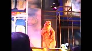 Download lagu Otter Dancing School Playhouse Disney Live On Stage | Bear In The Big Blue House mp3