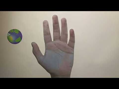 SAPIENS | Cortometraje Stop-motion - Tomás Salbar