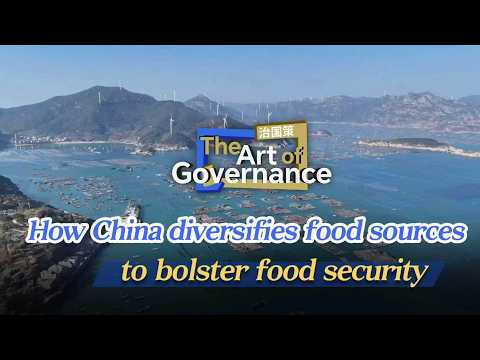 The Art of Governance: How China diversifies food sources to bolster food security