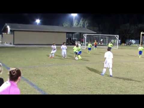 Florida Elite U8 Elite South  0X4 JFC Armada U9 Elite 2 North - 11/04/2016