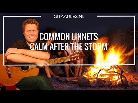 Common Linnets - Calm After The Storm Gitaar Akkoorden