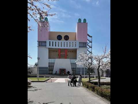 看護学科 キャンパスのさくら #青森中央学院大学 #青森中央短期大学 #さくら #桜