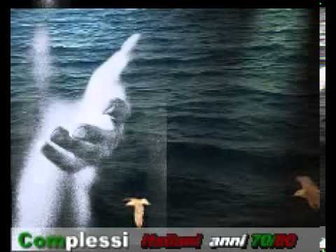 I santo california gabbiano   YouTube