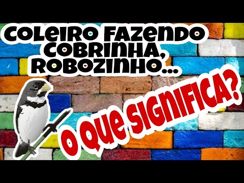 collar making SNAKE, ROBOT, what does it MEAN???