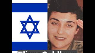 Deaf Effect Series: Israeli Military Officer, Elinor Goldberg