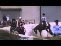 Whatiloveaboutsunday At 2012 Quarter Horse Congress