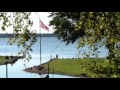 Low flying birds