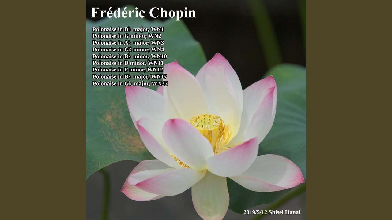 Chopin Polonaise in B-Flat Major, WN 17