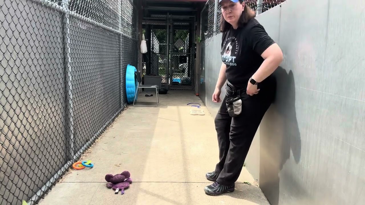 Skydiver video preview