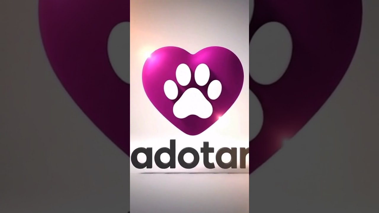 Cachorro raça Pit-Bull idade 1 ano nome Max e Zoe