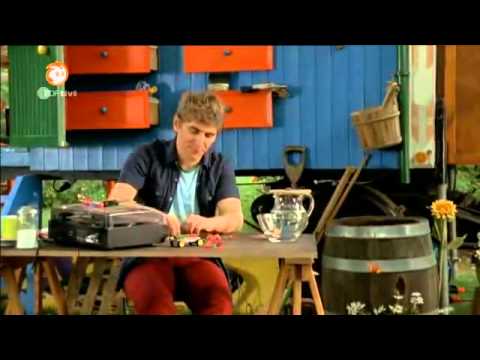 Löwenzahn - 249 Magnete - Im Zauber der magischen Kraft