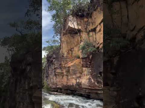 Paredão em buriti de Goiás