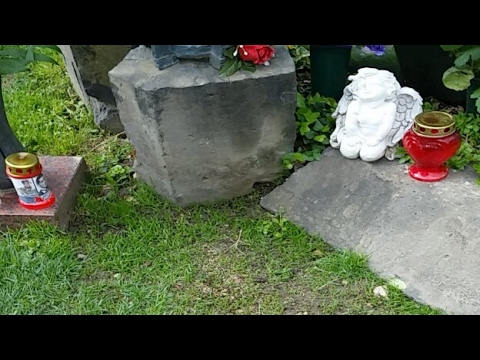 Falco Grave - 14.April 2017