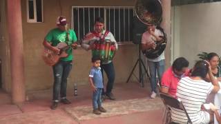 Debajo de los laureles