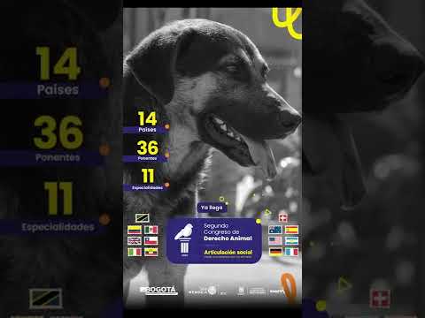 Segundo Congreso de Derecho Animal IDPYBA