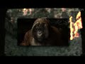 The Jungle Book 2016 I Wanna Be Like You Georgian HD