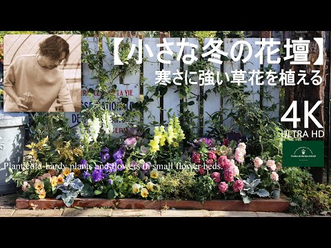 冬のサラダの育て方は？耐寒性品種と緑豊かな庭づくりのヒント  庭園