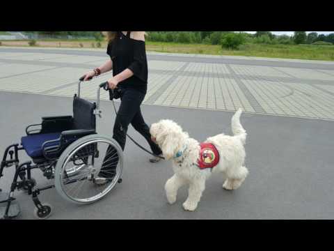 Rollstuhl Training mit Liam, Eddy & Meiko