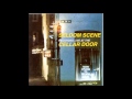 Seldom Scene - Baby Blue 