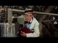 Mr Limpet 2 0 Fish Magically Become Fishermen In Evolution Theory