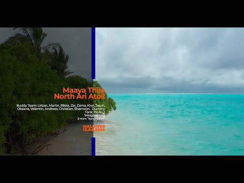 MALDIVES - Dive No.3 - Maaya Thila