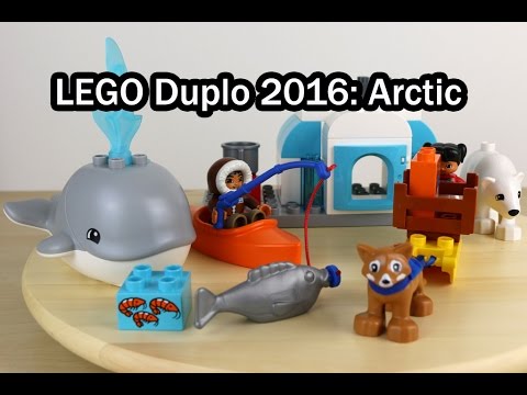 Vidéo LEGO Duplo 10803 : Les animaux de l'Arctique