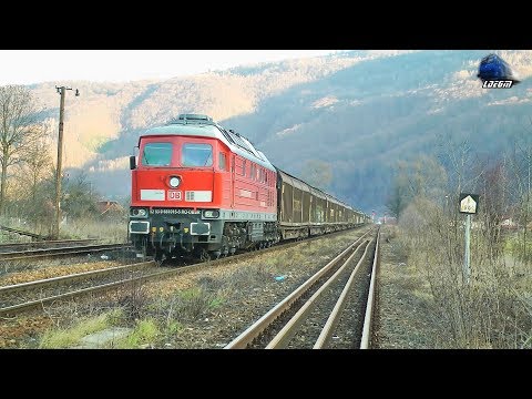 Horns Show By BR232 Ludmilla 65-1015-5 Dieselok in Gara Piatra Craiului Station [Christmas Edition]