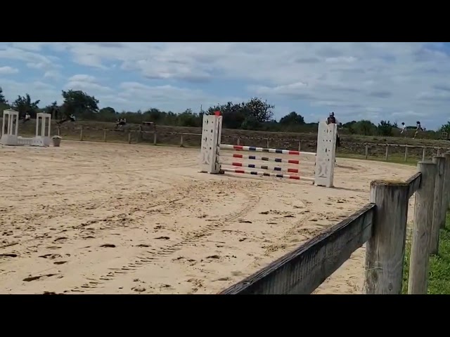 HONGRE SF DE GRANDE TAILLE