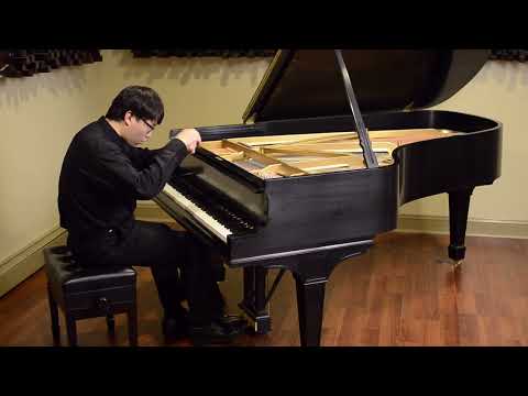 Franz Liszt - Mephisto Waltz