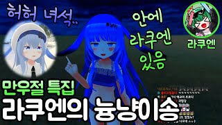 라쿠엔의 늉냥이송 [VRChat , VR챗]