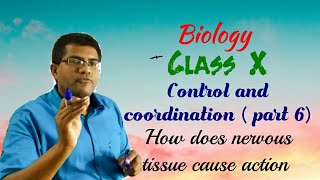 How does nervous tissue cause action , Control and coordination ( part 6) , Class X , CBSE