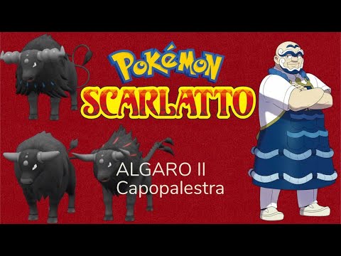 Pokèmon Scarlatto Tauros contro il quarto Capopalestra Algaro