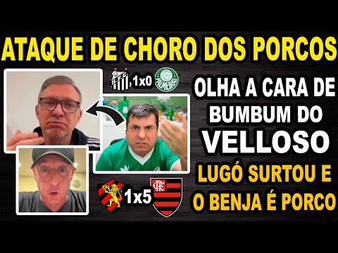 Velloso, Benja, Lugó and the rest of the Palmeiras team burst into tears after Sport lost 1-5 to ...