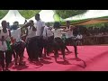 Peter Mwambi Telesia Ka Mama Remix By Lukenya University