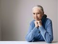 Take Me Outside Interview With Jane Goodall
