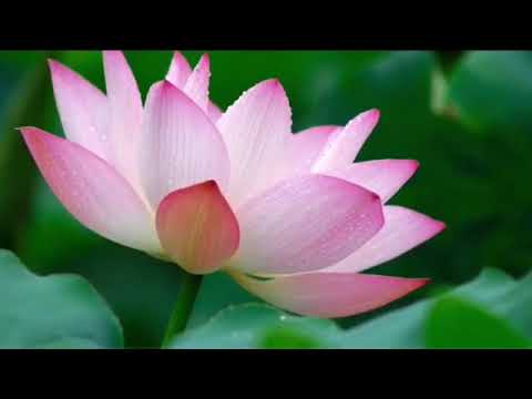 Евгений Крылатов - Мелодия Весны