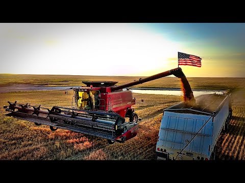 Epic Harvesting Montana Style - Part 4 - Welker Harvest - Welker Farms Inc