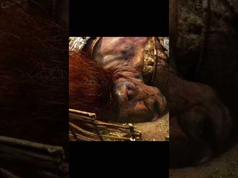 A Giant Falls From The Sky | Jack The Giant Slayer scene #short