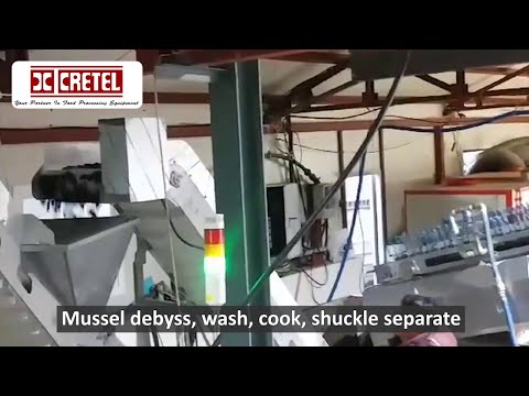 Mussel processing line