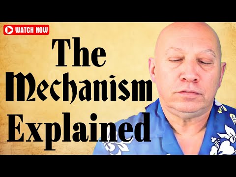 The Deeper Mechanism of "What You Put Out is What You Get Back" (Bashar) | Darry Anka Bashar