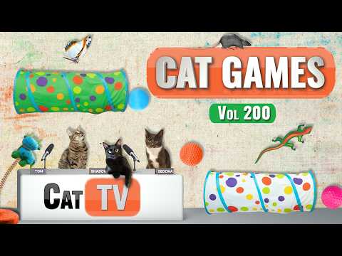 CAT Games | Ultimate Cat TV Compilation Vol 200 | 8 HOURS 🐝🐞🦋🦎🦜🐜🐭🧵