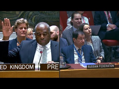 Russia vetoes Sudan ceasefire resolution at UN Security Council | AFP