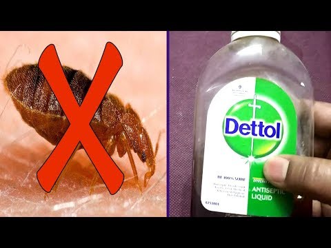 Natural trick to get rid of bed bugs fast and...
