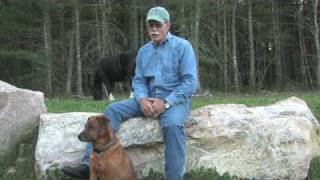 Mark Russell from Natural Dressage talks about Brian Reid