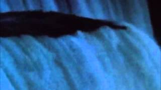 Corazón de cristal.wmv